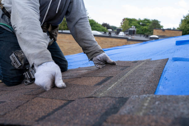 Best Roof Leak Repair  in Lone Tree, IA