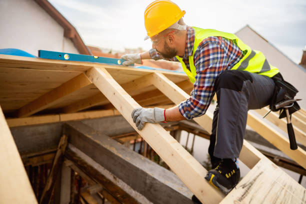 Best Roof Maintenance Services  in Lone Tree, IA