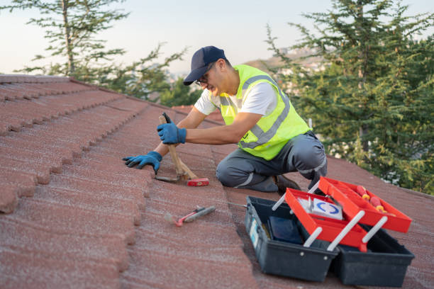 Best Roof Gutter Cleaning  in Lone Tree, IA