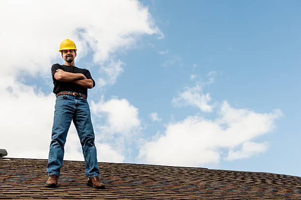 Best Roof Gutter Cleaning  in Lone Tree, IA