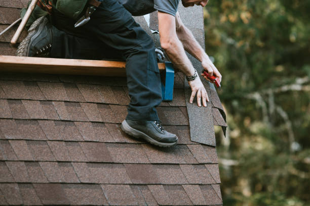 Roof Gutter Cleaning in Lone Tree, IA